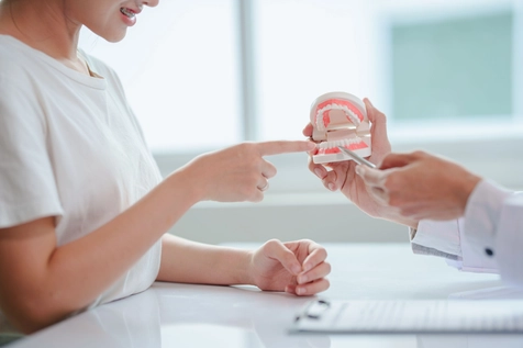 A patient being shown a model of teeth
